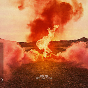 一级皇色录像播放
