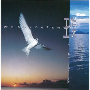 一级皇色录像播放
