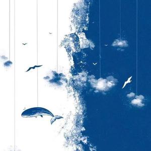 一级皇色录像播放
